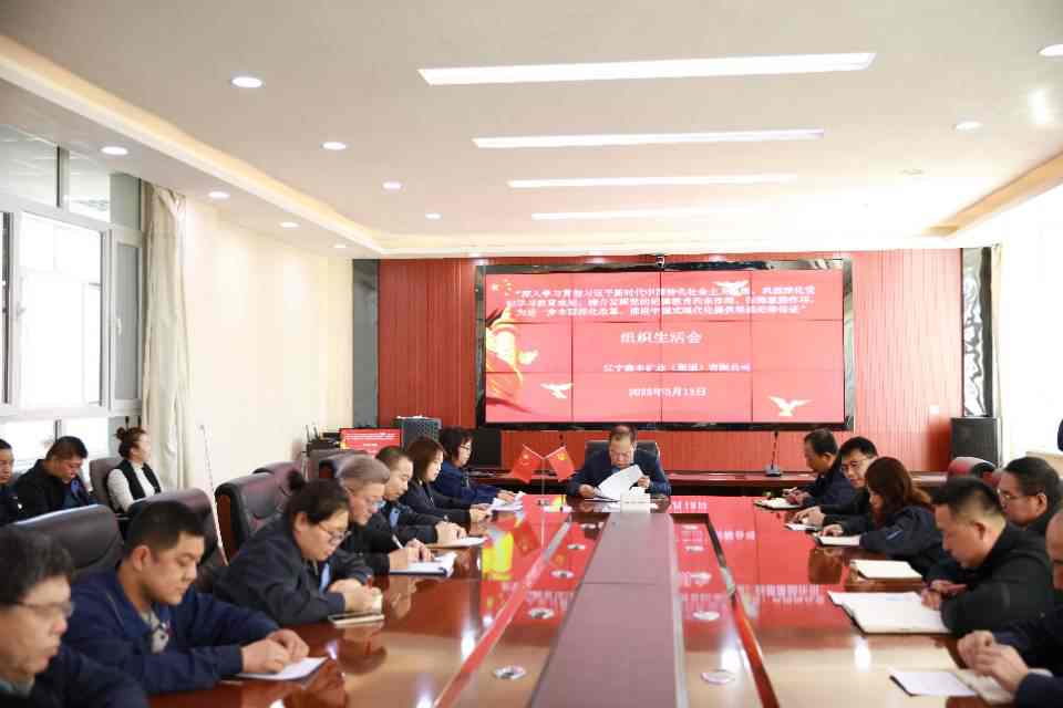 鑫丰集团党支部成功开展“聚力打好全面振兴新突破三年行动决胜之年决胜之战”主题党日活动